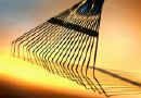 spring tine rake